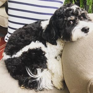 Meet your Posher, Taylor